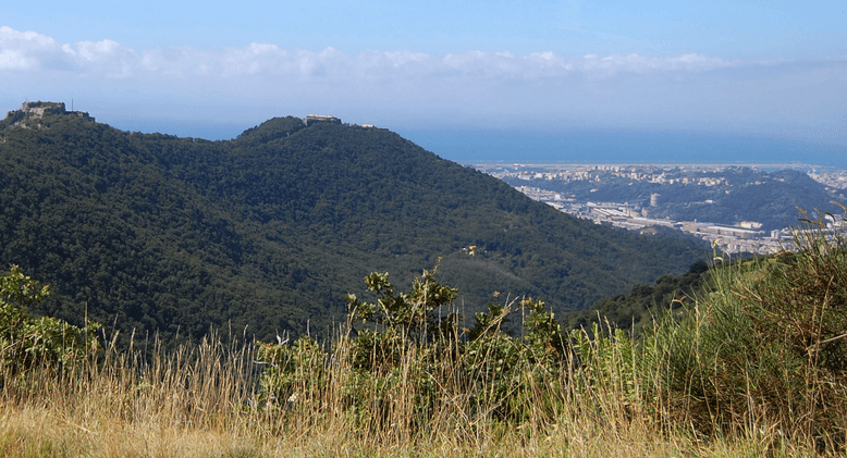 parco delle mura