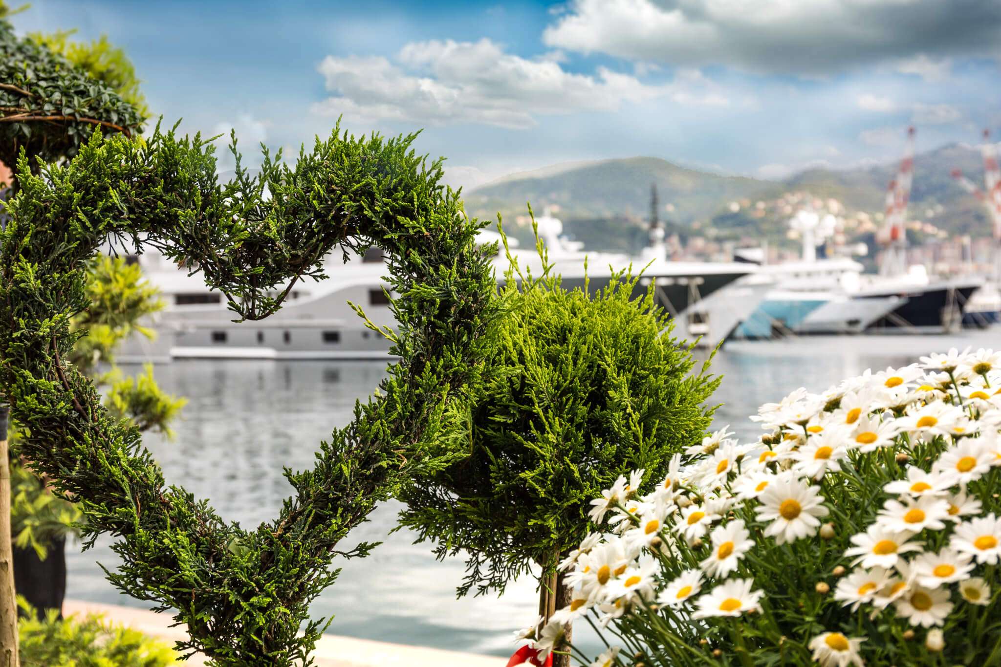 Yacht & Garden