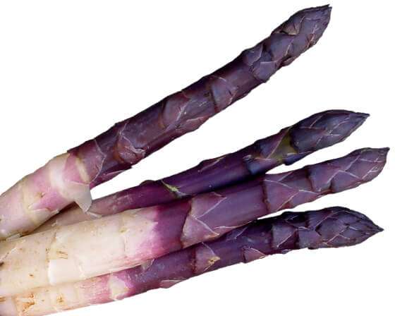 asparago-violetto-1
