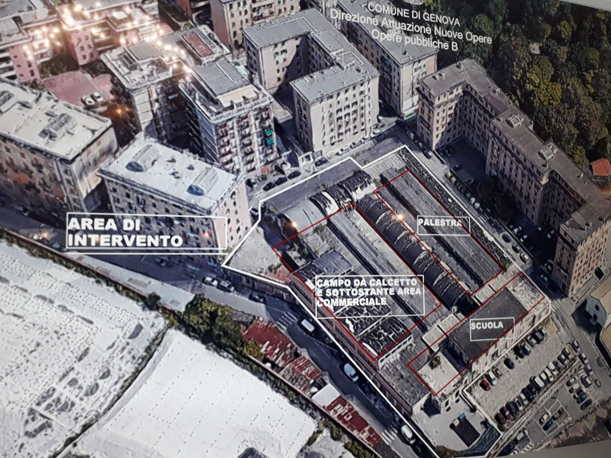 ex mercato ovoavicolo