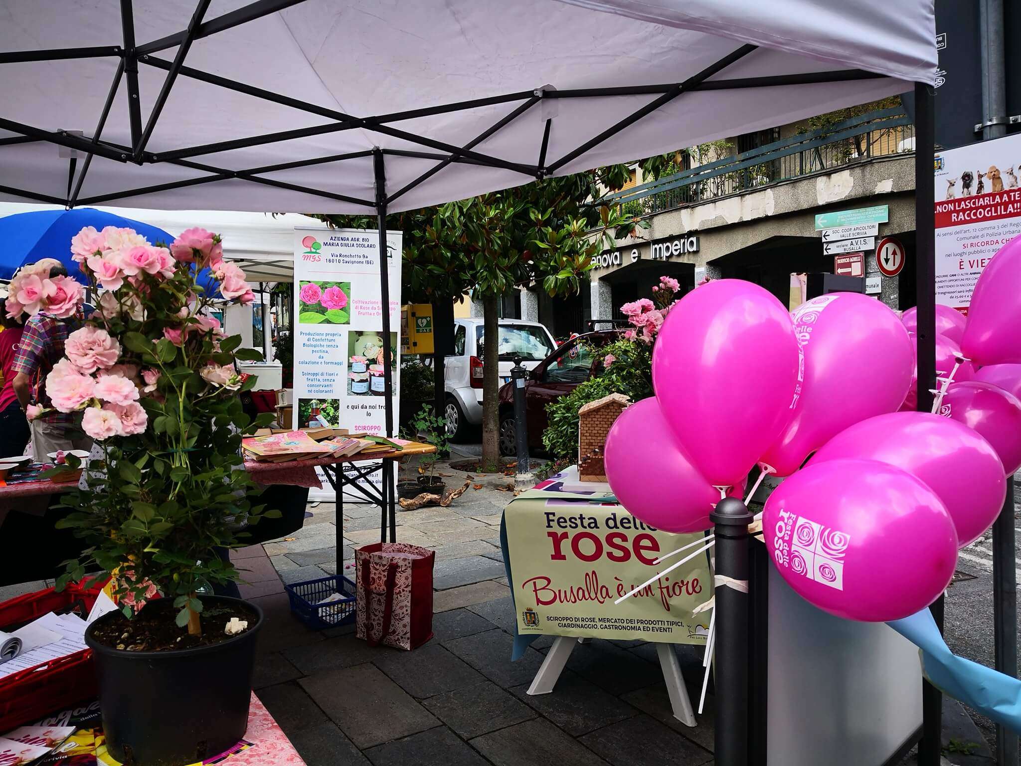 Festa delle Rose_Busalla (3)