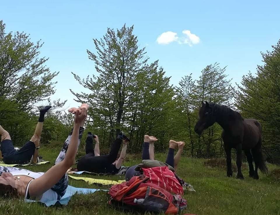NaturYoga e Cavalli Selvaggi  parco dell aveto