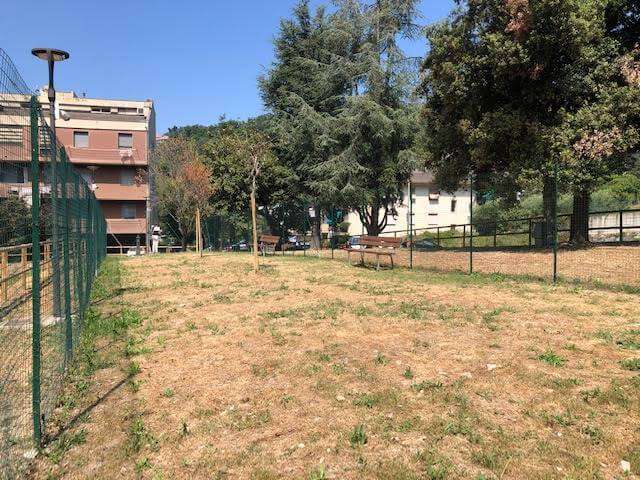 dog park area cani