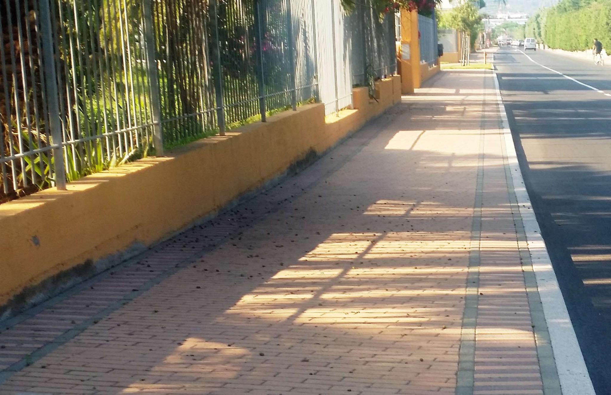 pista ciclabile