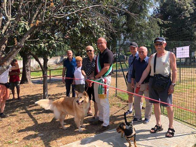 dog park area cani