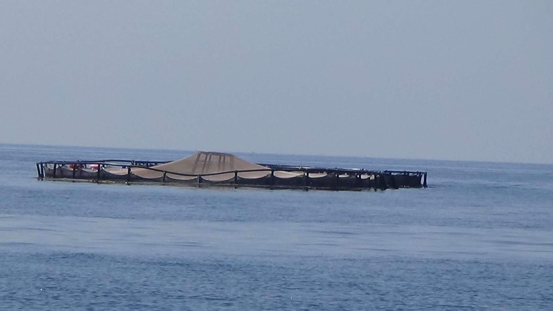 itticoltura aqua
