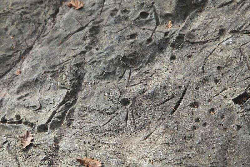 Roccia incisa Beigua