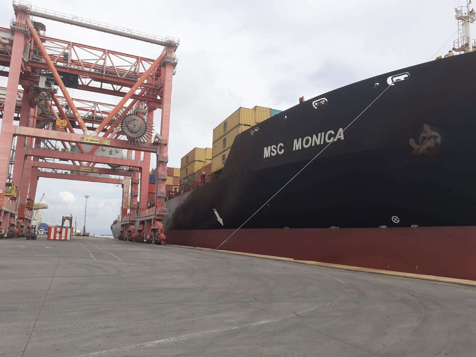 msc portacontainer