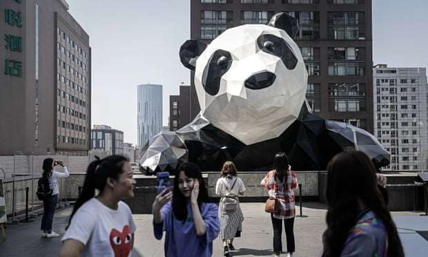 panda journalist