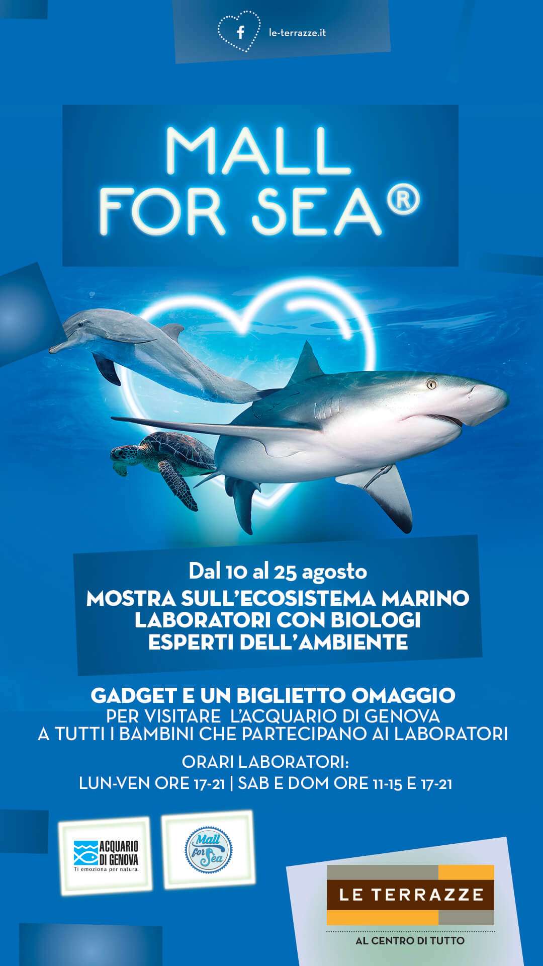 locandina Mall For Sea