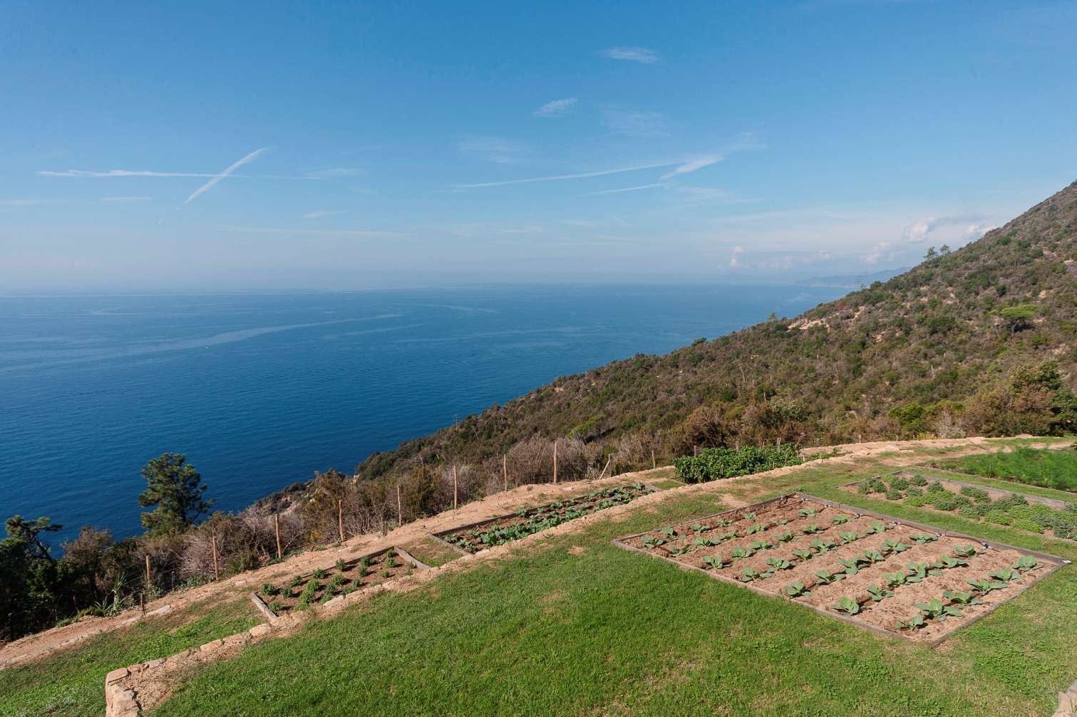 Podere Case Lovara a Punta Mesco SP_Foto Davide Marcesini_04-10-2017 © FAI – Fondo Ambiente Italiano
