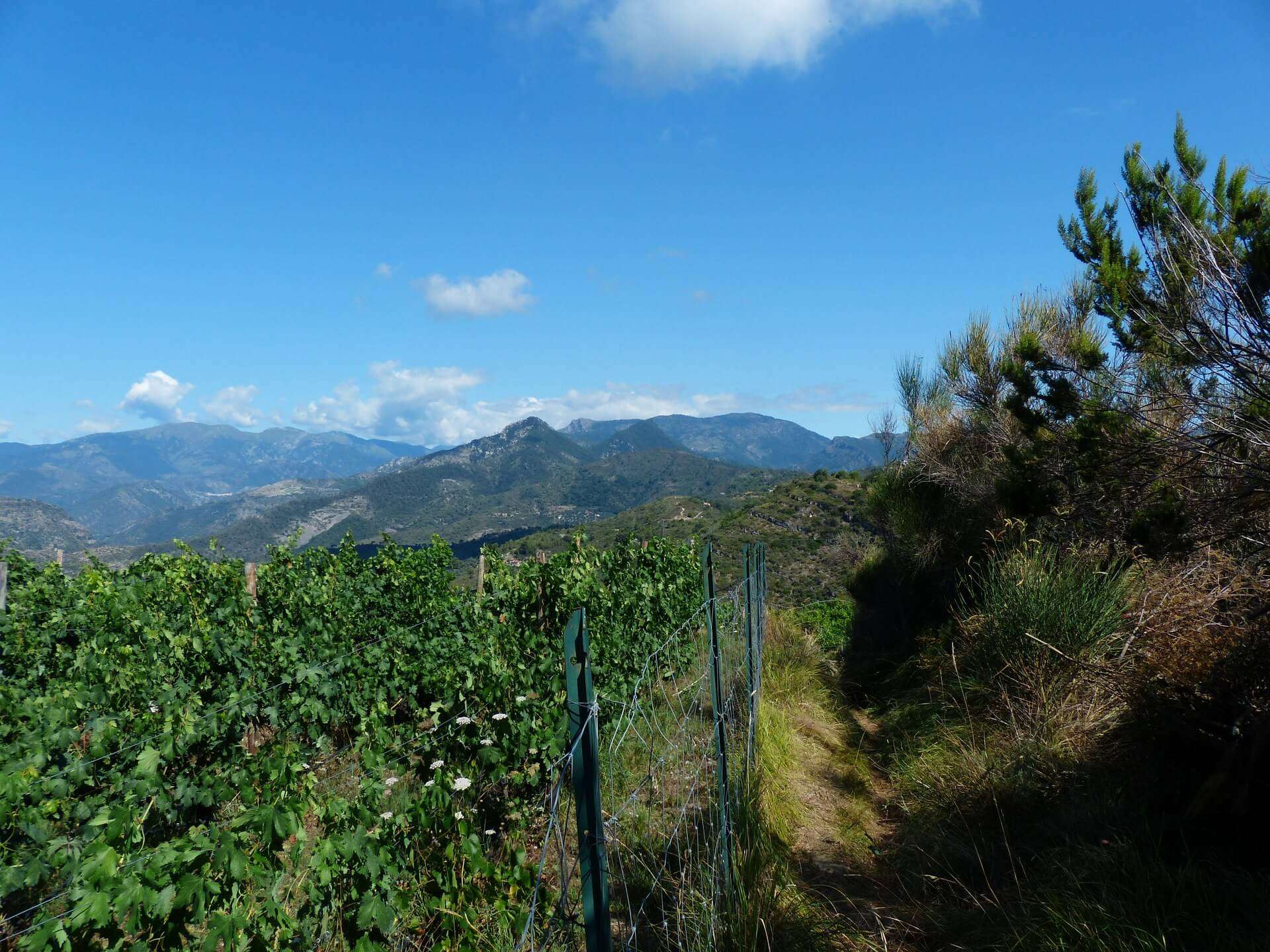 monti liguria montagna sentiero