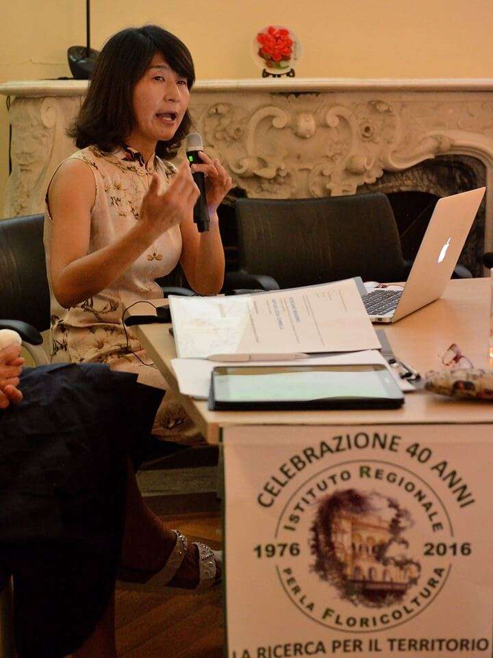 irf cinesi 1