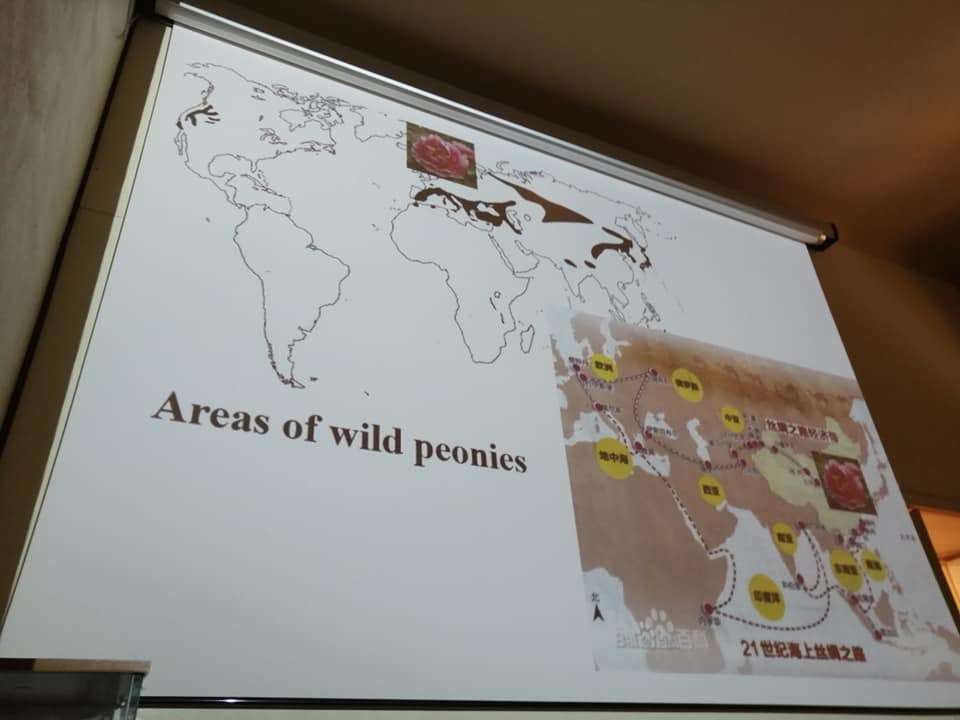 irf slide 1