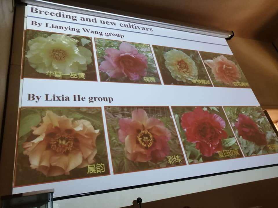 irf slide 3