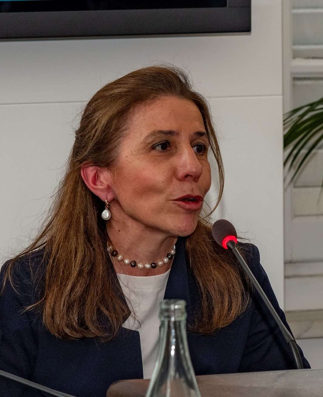 marina stella
