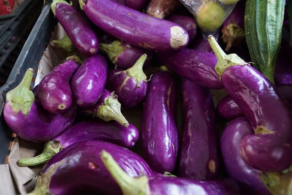 melanzane