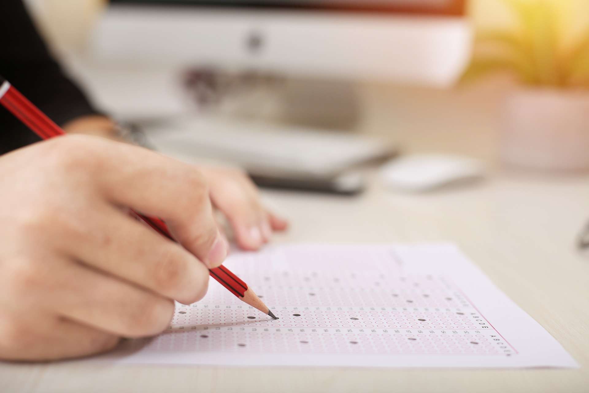 quiz, concorso,