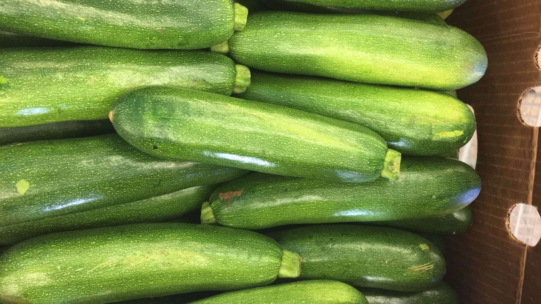 zucchini 3