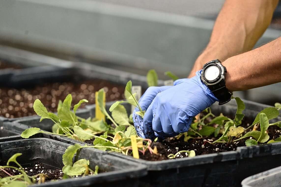 Agroinnova agricoltura innovazione