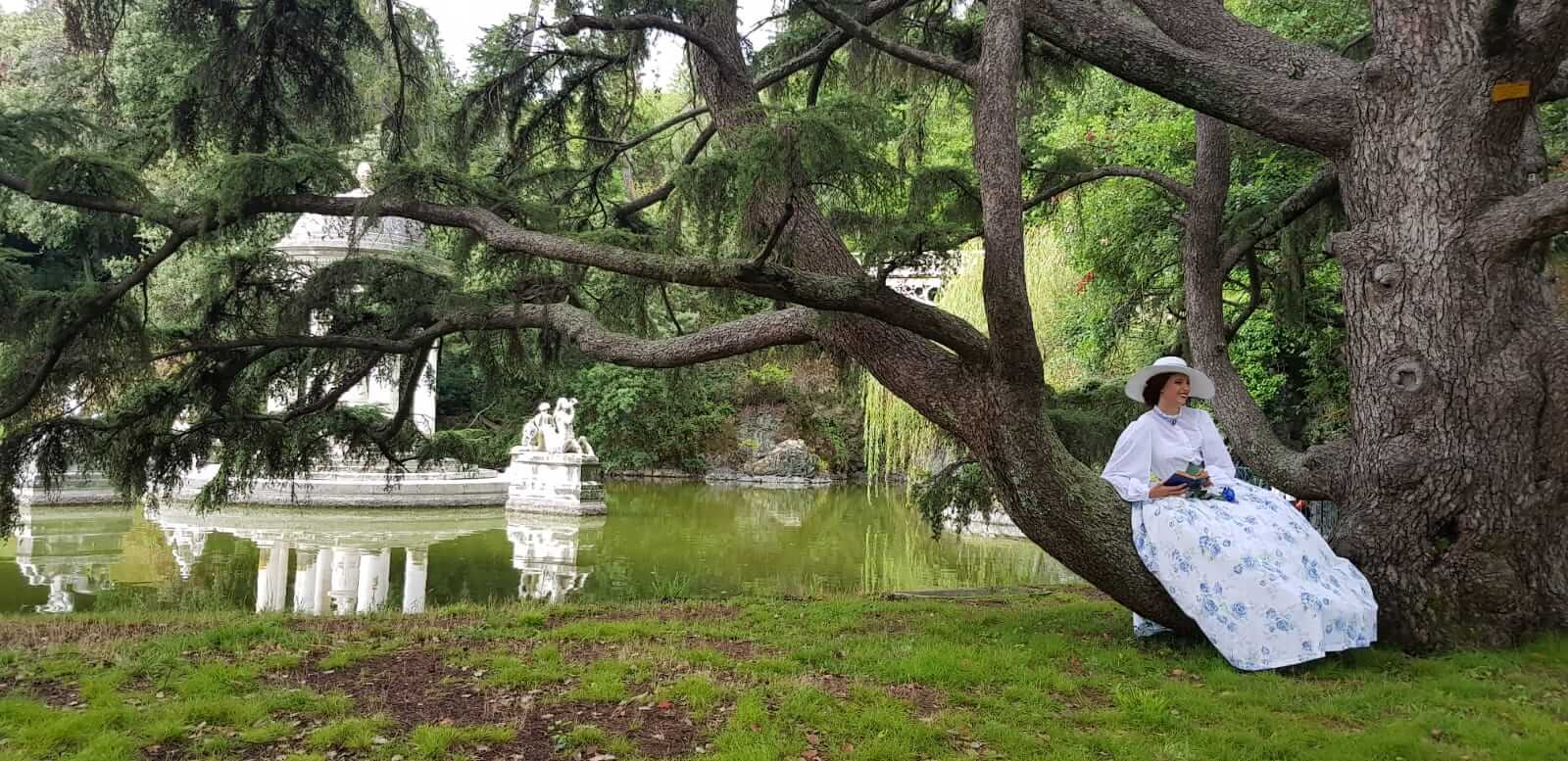 Cedro del Libano- Lago grande
