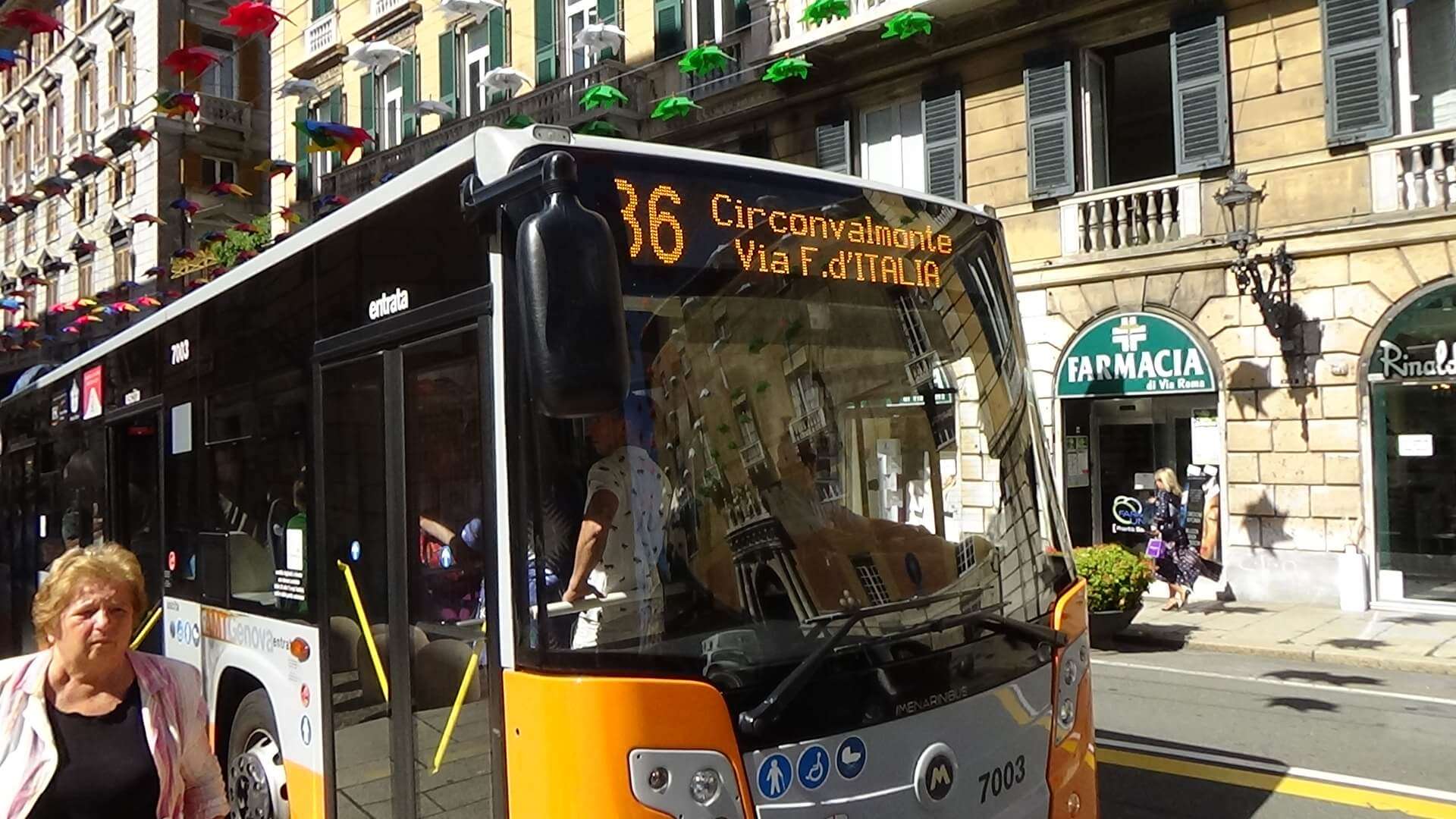 autobus amt