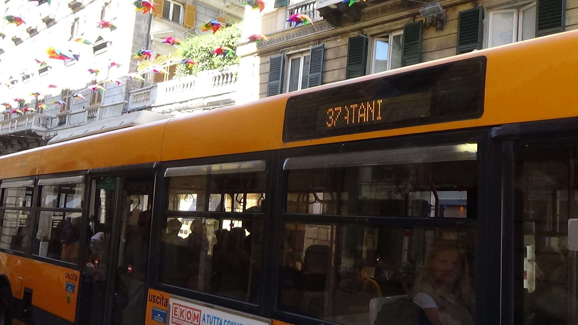 autobus amt