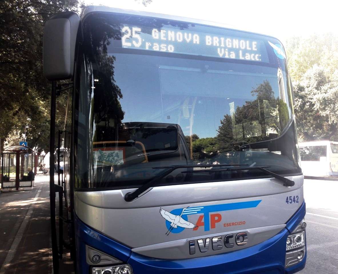 Linea 25 bus atp
