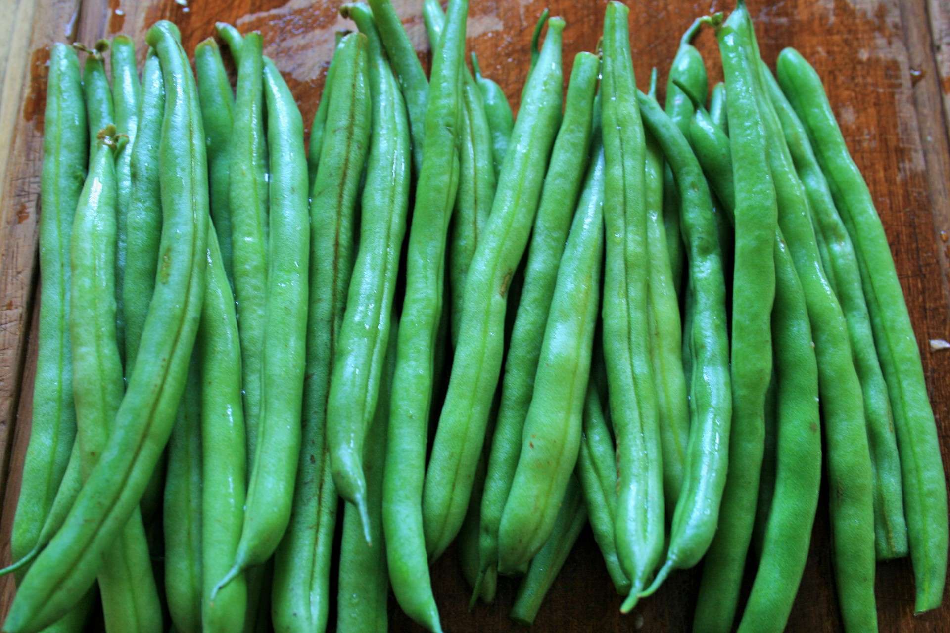fagiolini