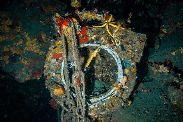 Arpa Ispra monitoraggio fondali mar ligure plastica