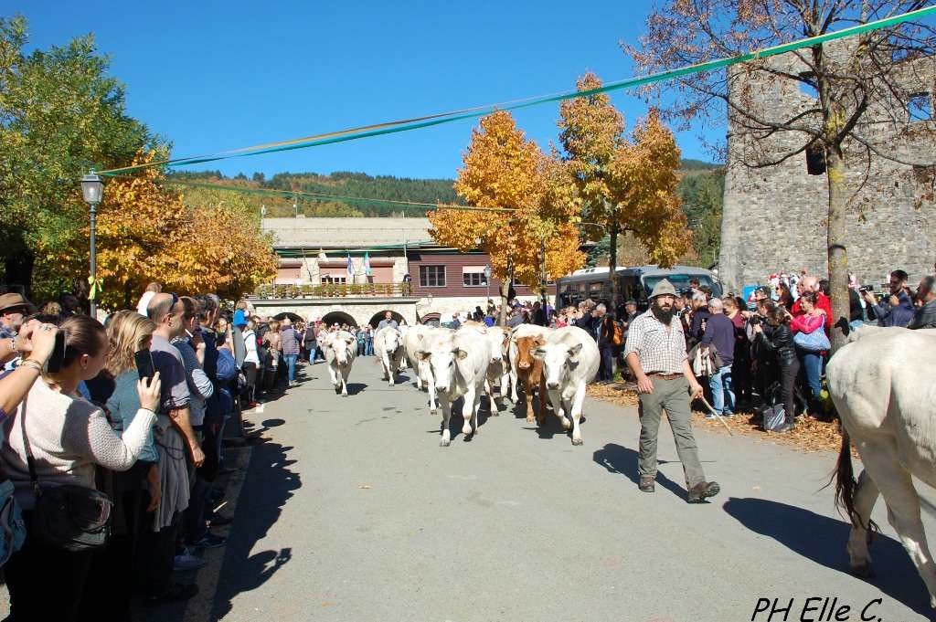 Transumanza Santo Stefano d’Aveto