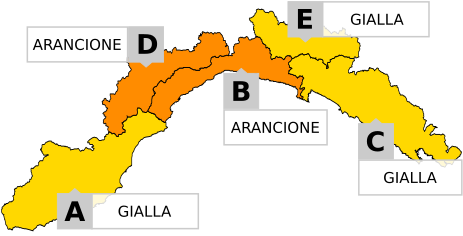allerta meteo