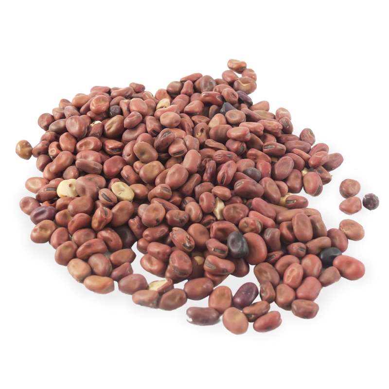 bacilli-secchi-favino-italiano-500-gr