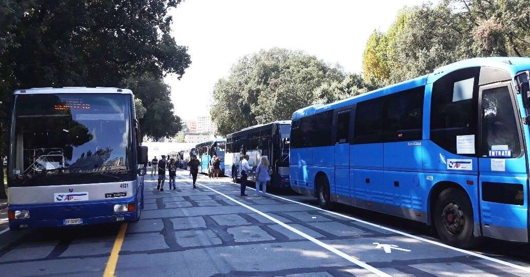 bus.Rolli atp