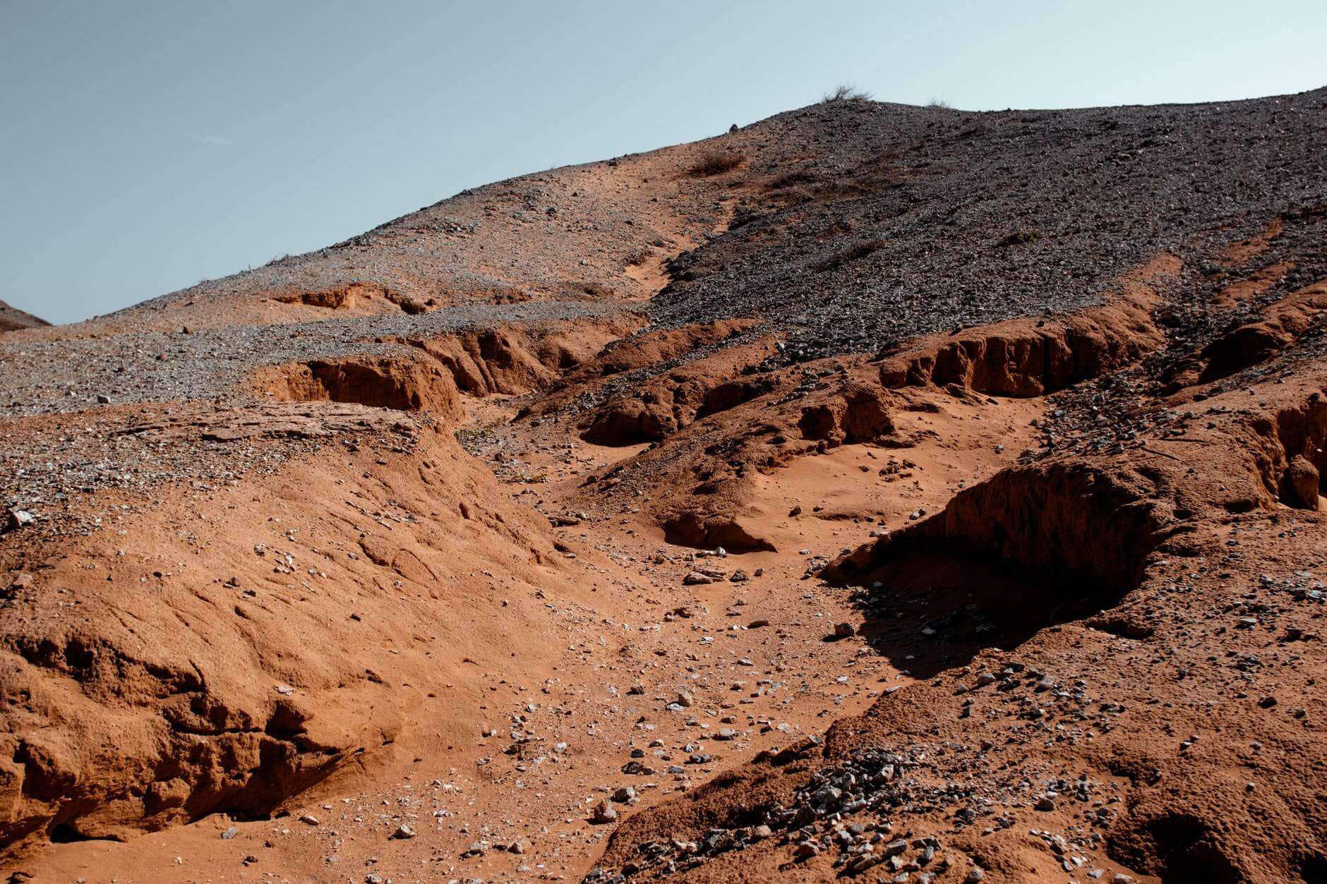 terra incolta