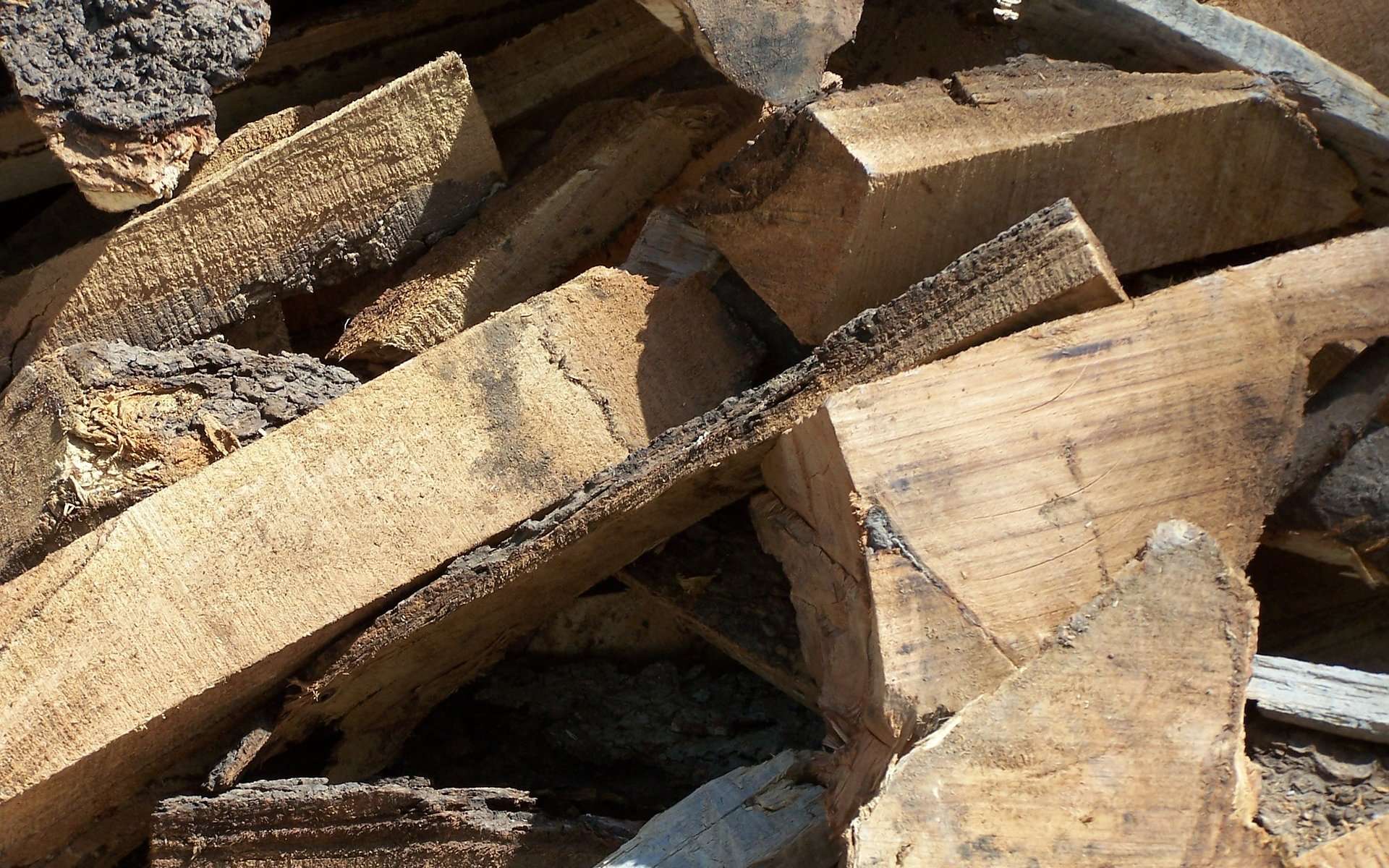 legno