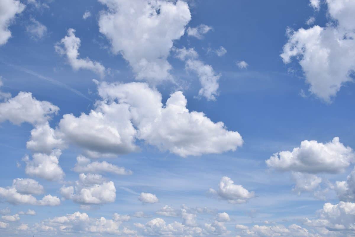 cielo
