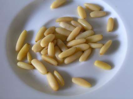 pinoli