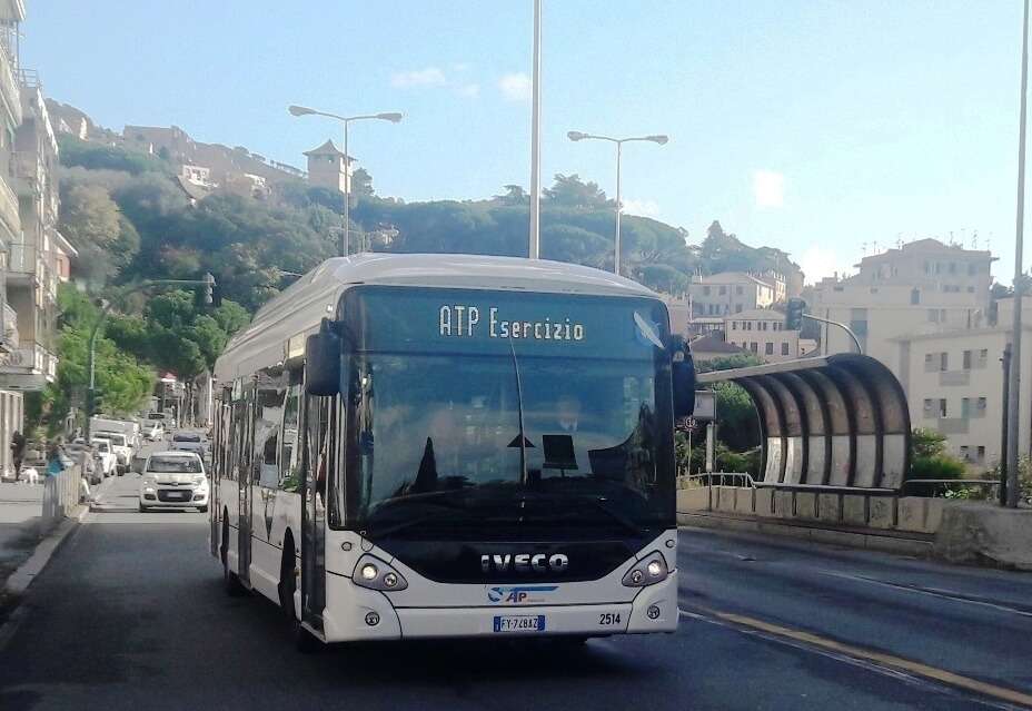 Elettrcorecco2