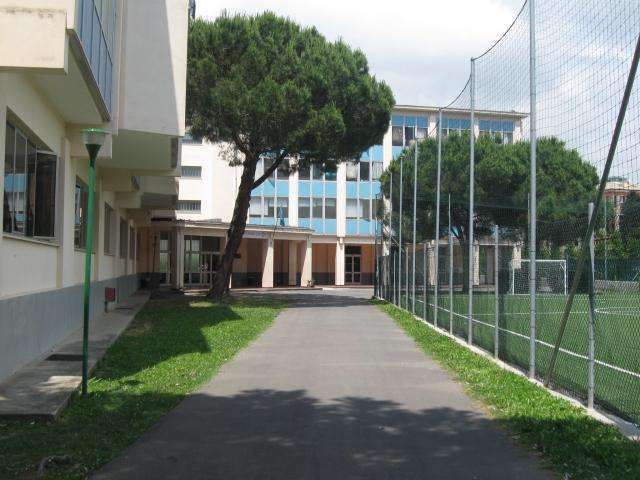natta de ambrosis istituto scolastico