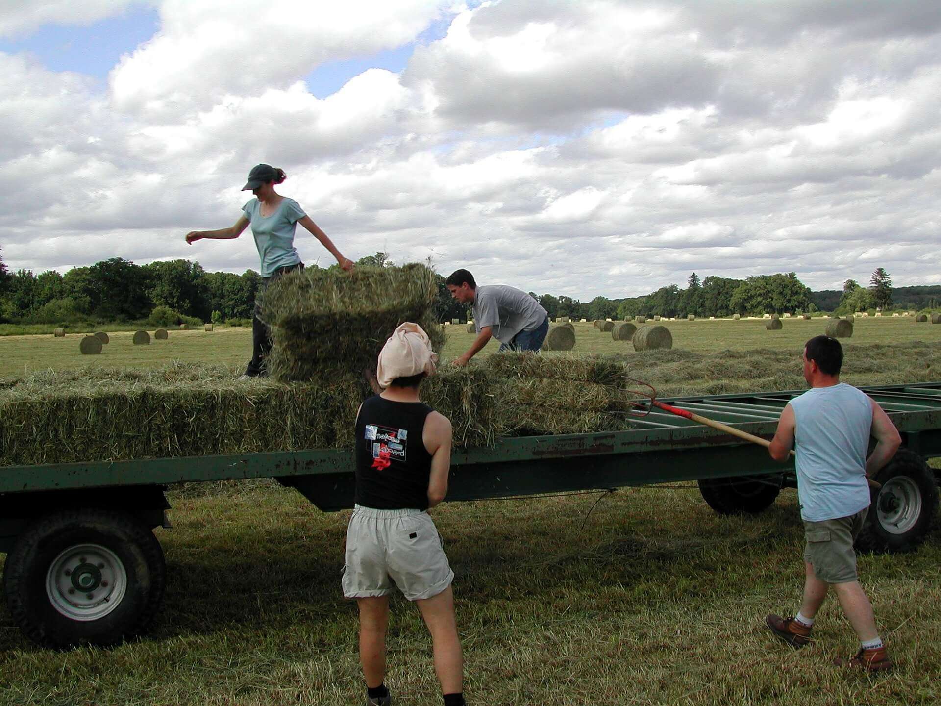 agricoltura agricoltori braccianti lavoro agricolo
