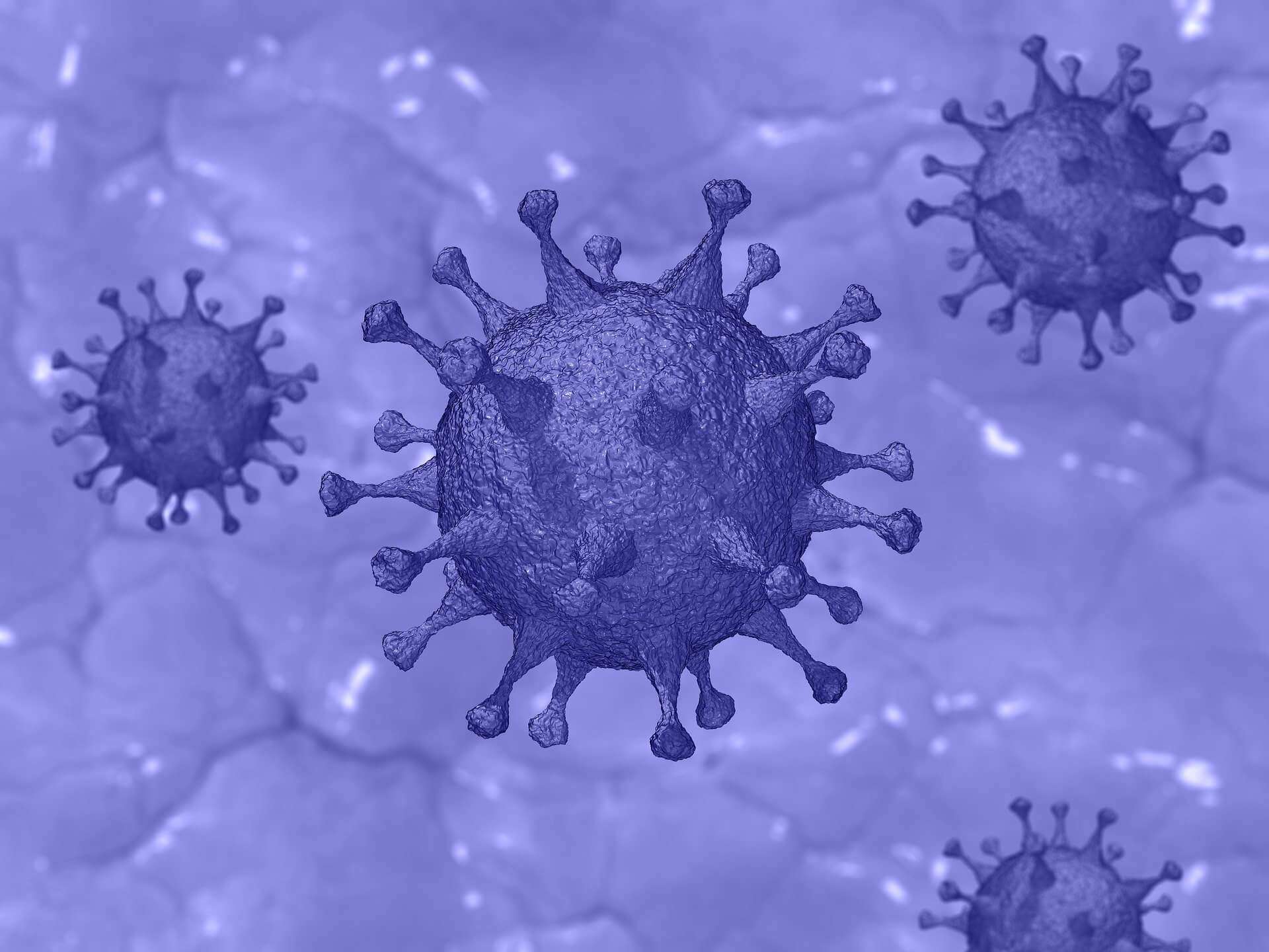 covid-19 coronavirus