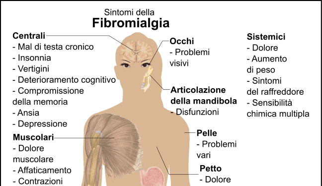 fibro