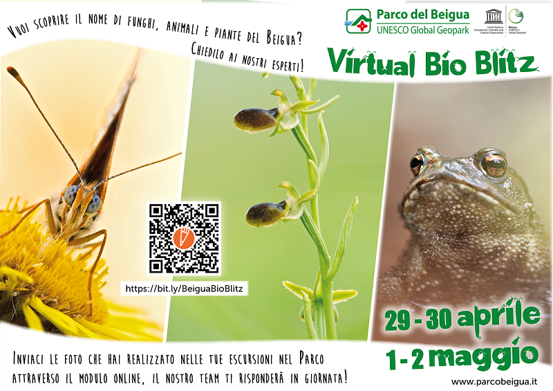 Beigua Virtual Bio Blitz