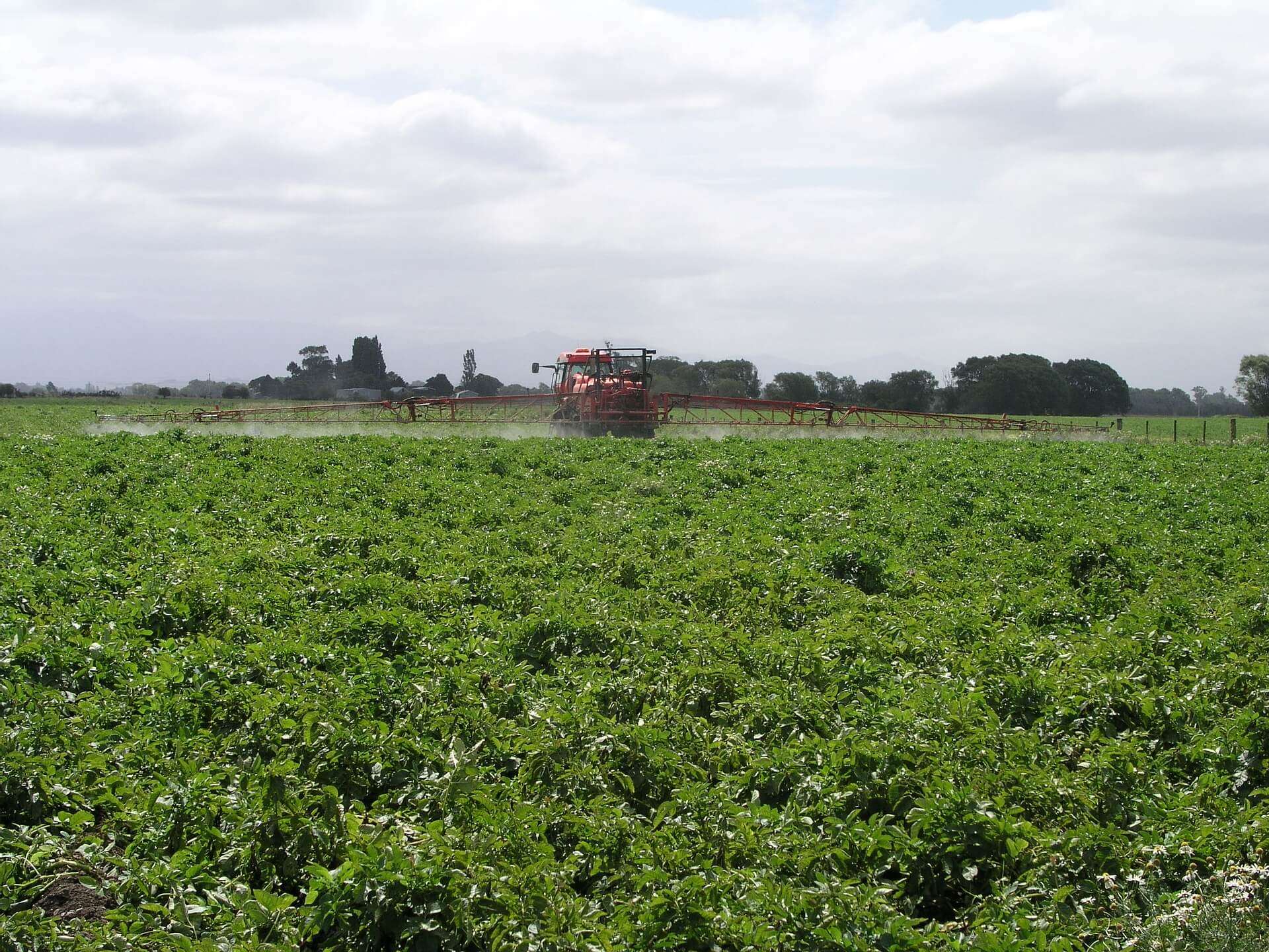 agricoltura prodotti fitosanitari