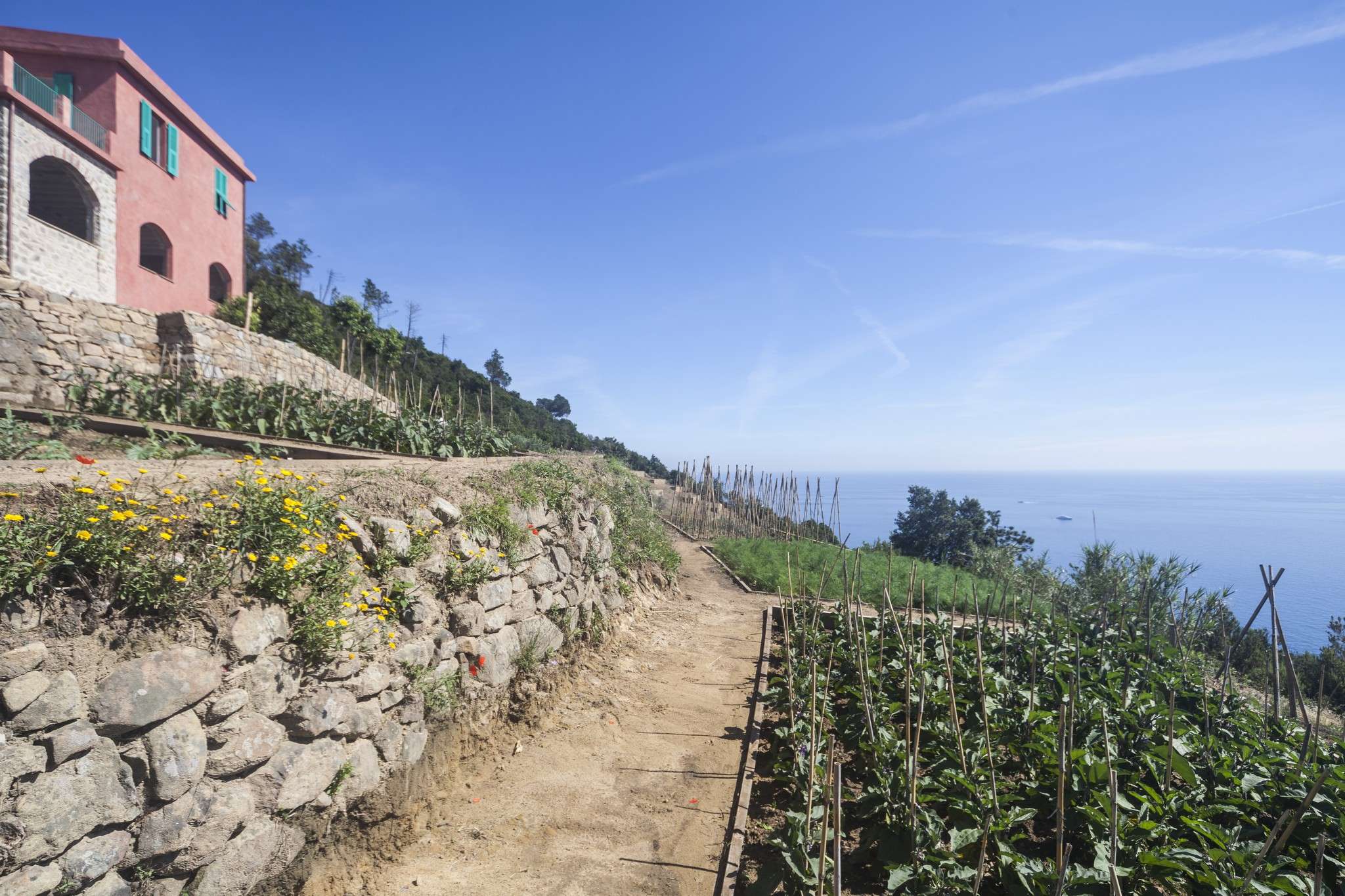 Podere Case Lovara a Punta Mesco SP , foto di Davide Marcesini 2016 © Archivio FAI
