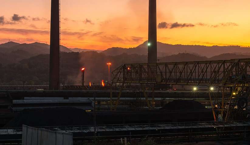 approvvigionamento italiana coke