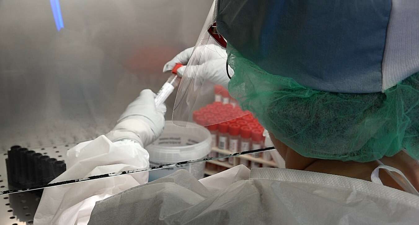 coronavirus analisi covid tamponi
