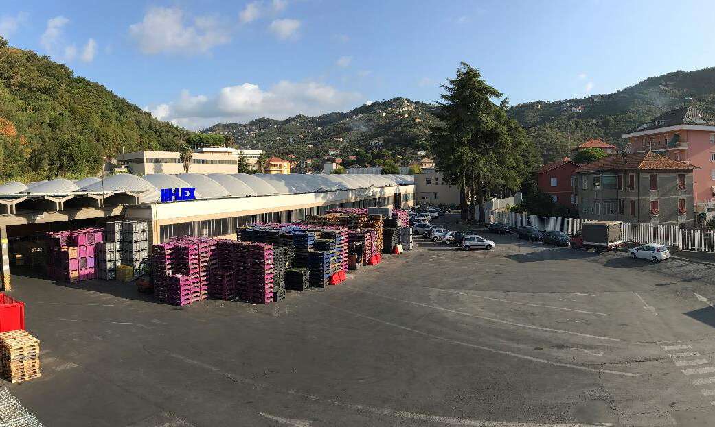 hi-lex italy