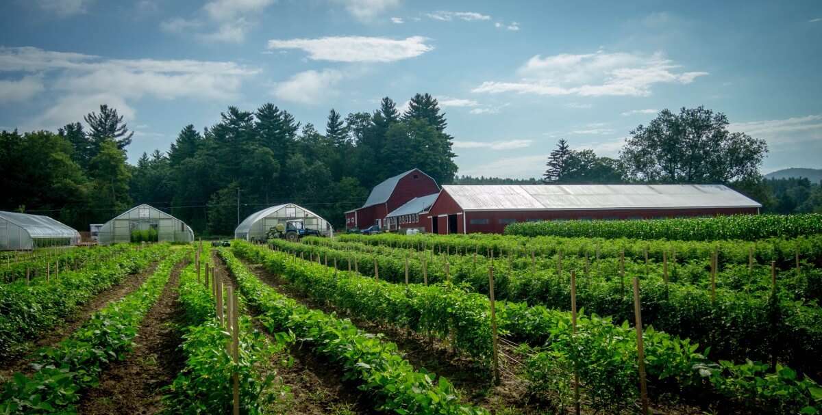 agricoltura